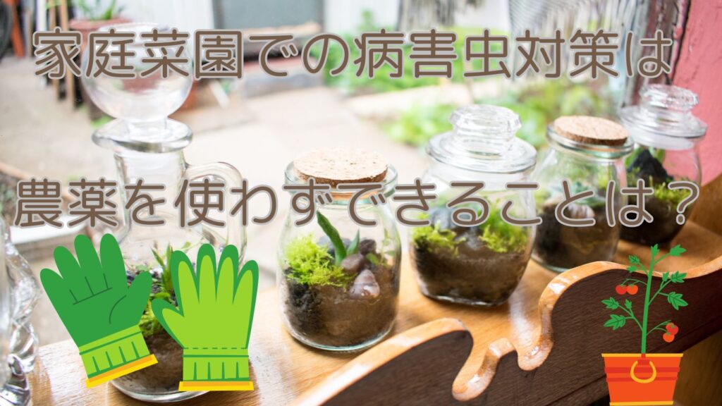 家庭菜園で農薬を使わずできるかな
